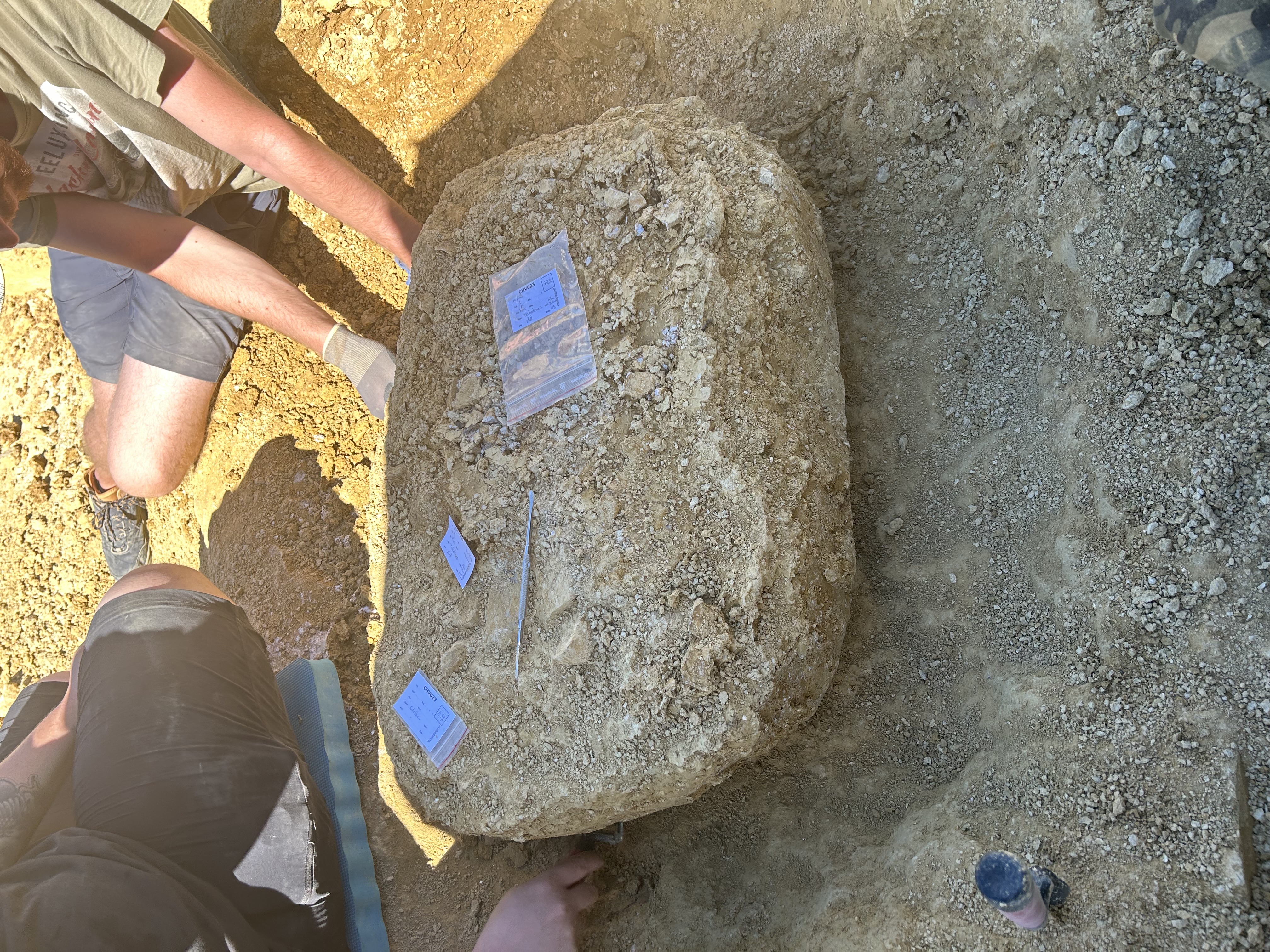 2025 fieldwork, Switzerland, photo 2