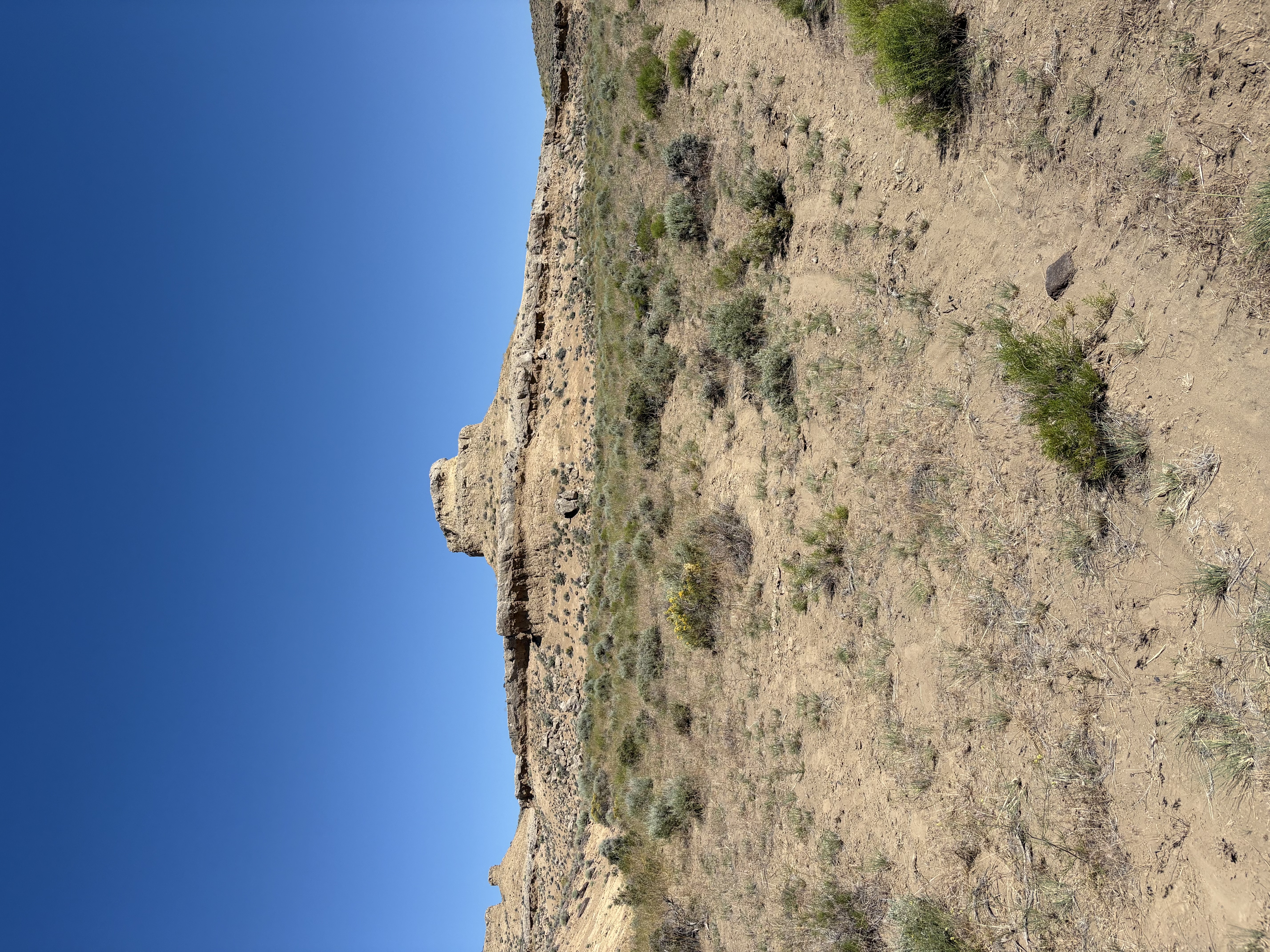 2025 fieldwork, John Day, Oregon, photo 1