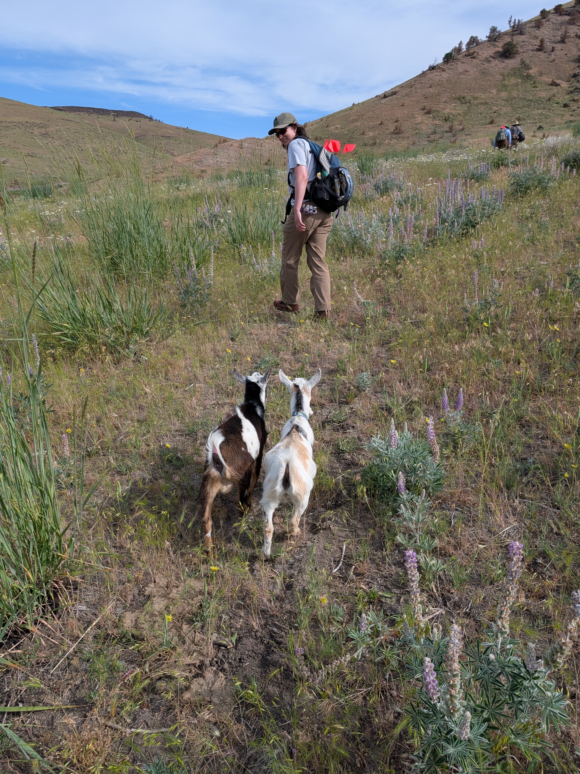 2025 fieldwork, John Day, Oregon, photo 2