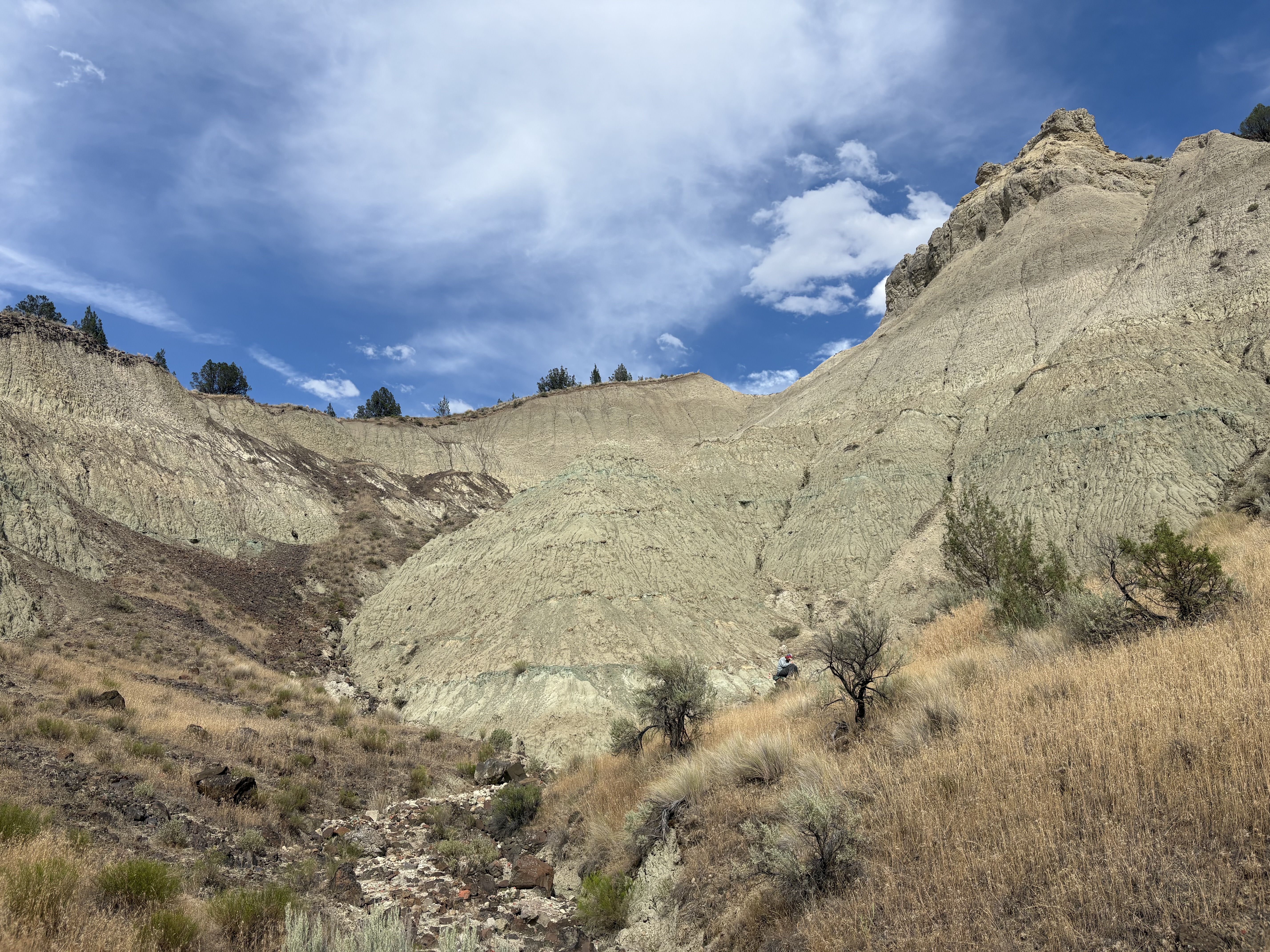 2026 fieldwork, Oregon, photo 1
