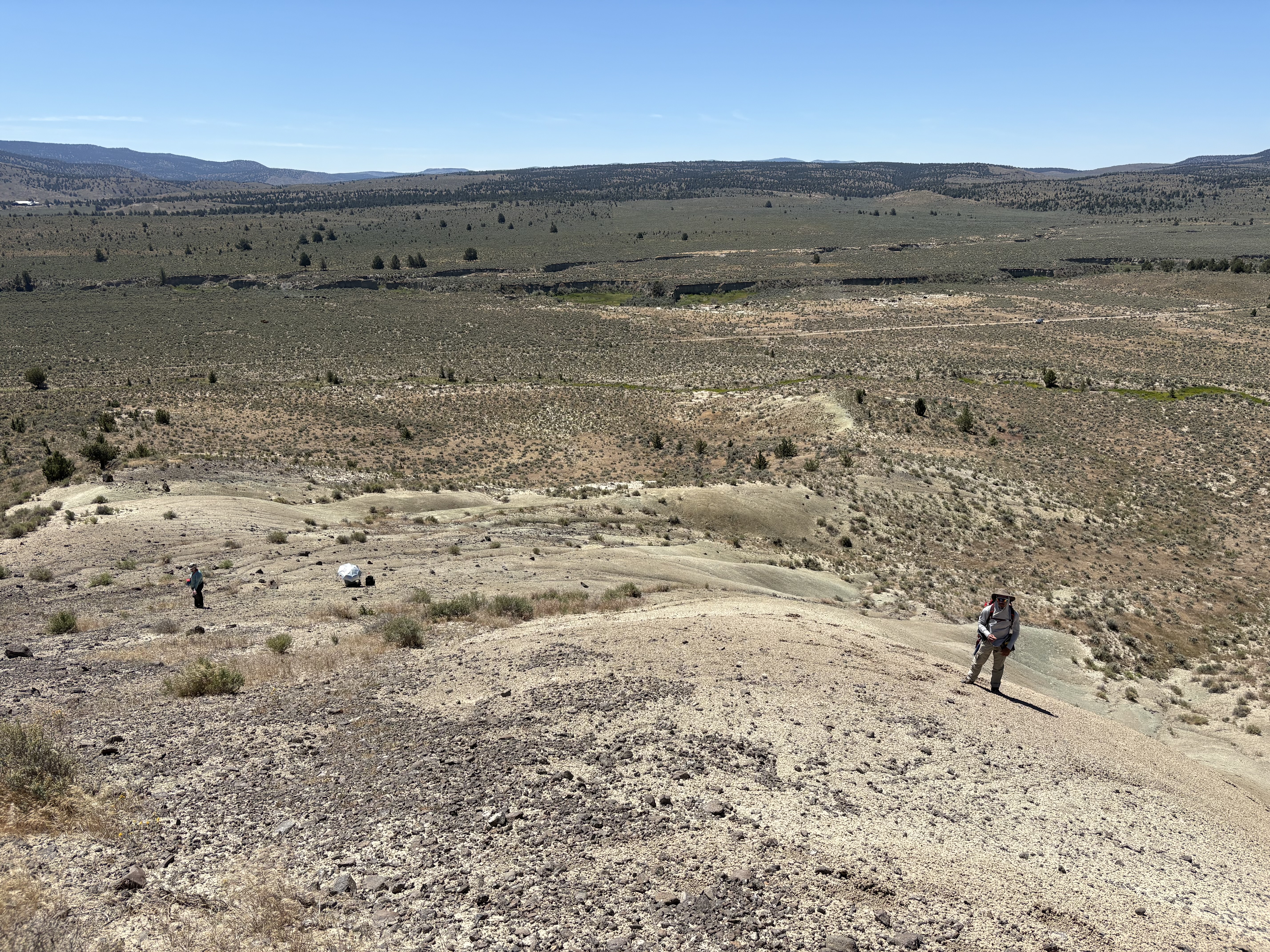 2026 fieldwork, Oregon, photo 2